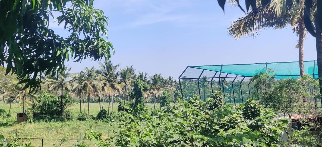 White House Villa Thrissur Bagian luar foto